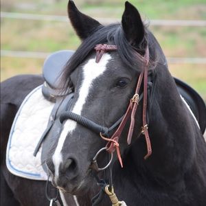 Meet your Posher, Megan